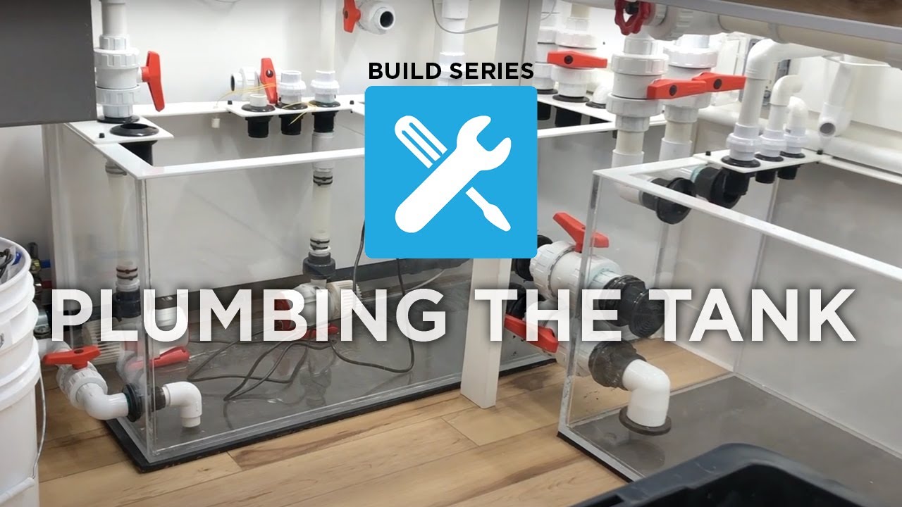 Ep. 11 | Build Series: Plumbing the Tank