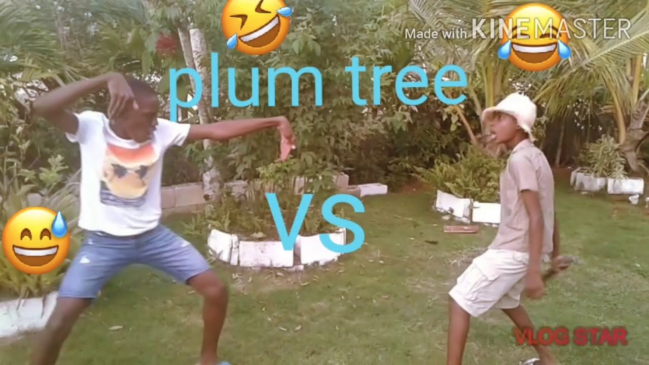 plum tree/SNJ COMEDY 😂😂🔥🔥