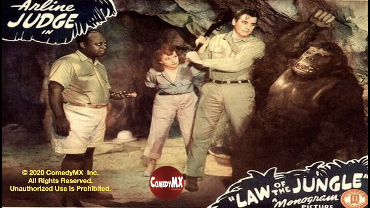 Law of the Jungle (1942) | Full Movie | Arline Judge, John 'Dusty' King, Mantan Moreland