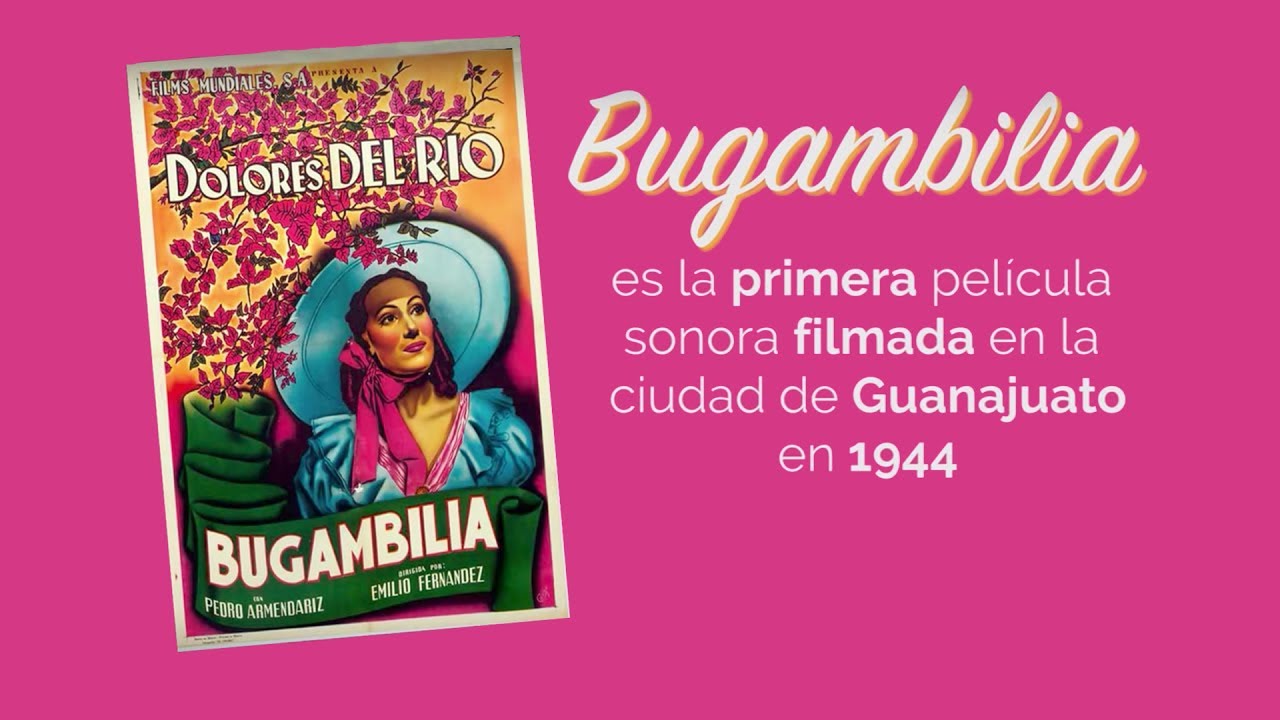 Película Bugambilia