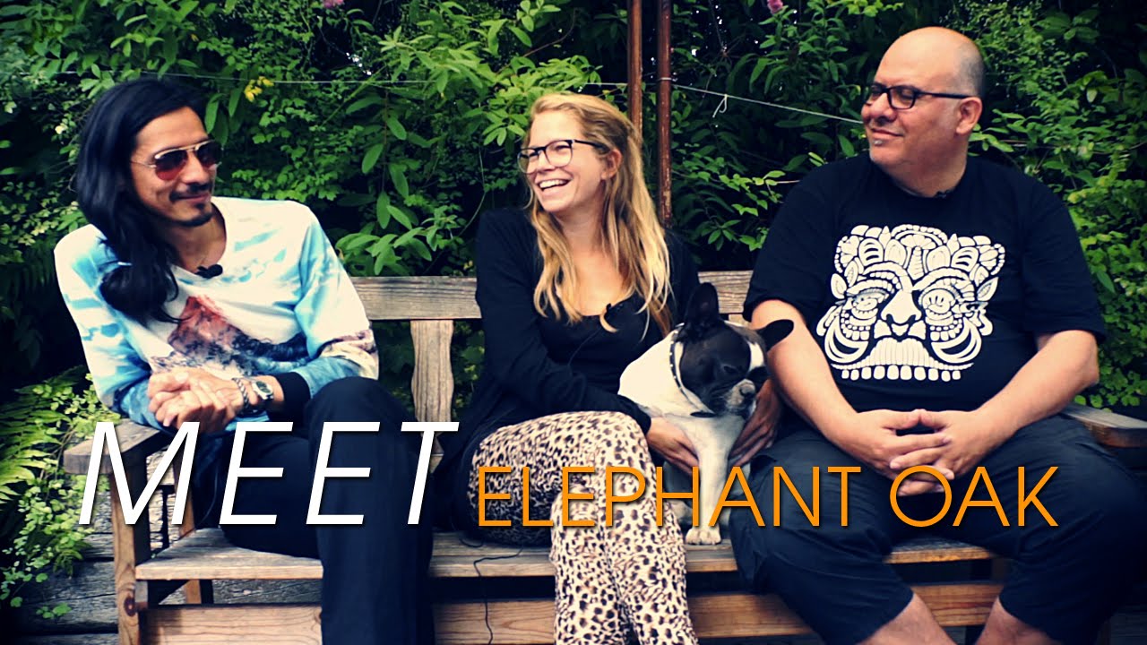 Elephant Oak - Interview (ILOVESWEDEN.NET)