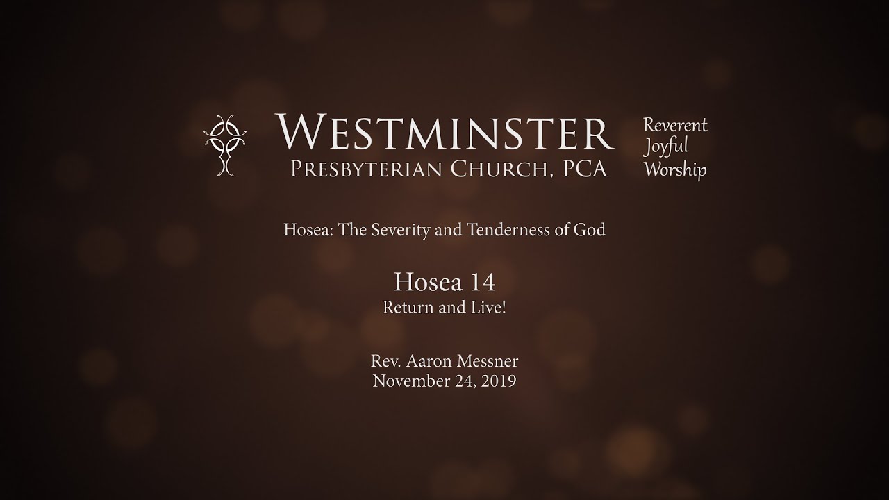Hosea 14 - Return and Live!