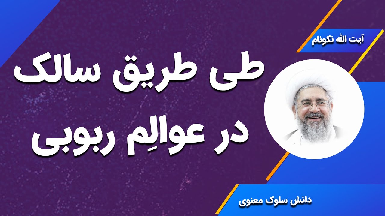 طی طریق سالک در عوالم ربوبی - آیت الله محمدرضا نکونام