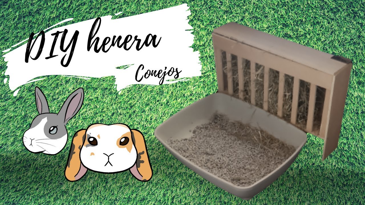 DIY Henera para conejos
