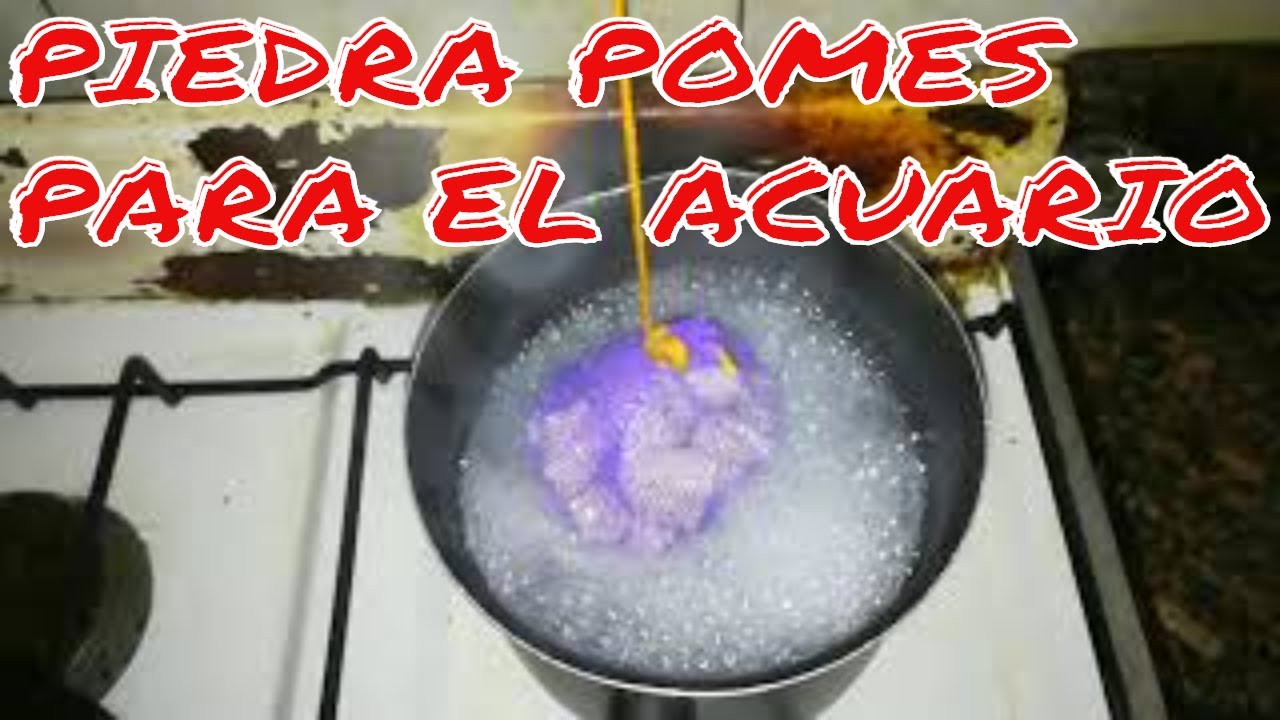 🔴📝 PIEDRA PÓMEZ EN ACUARIO. TUTORIAL CÓMO HACER MATERIAL FILTRANTE BIOLÓGICO CON ELLA📝