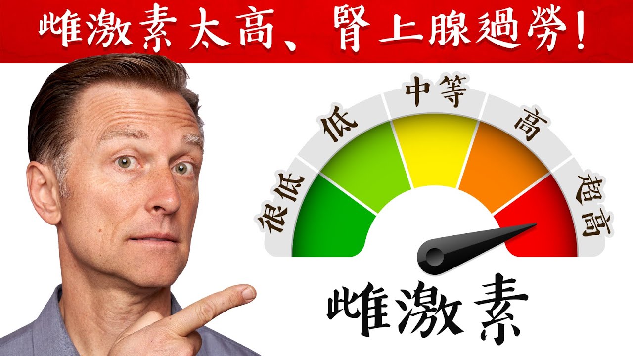 雌激素對女性月經,更年期,甲狀腺的影響,自然療法,柏格醫生 Dr Berg
