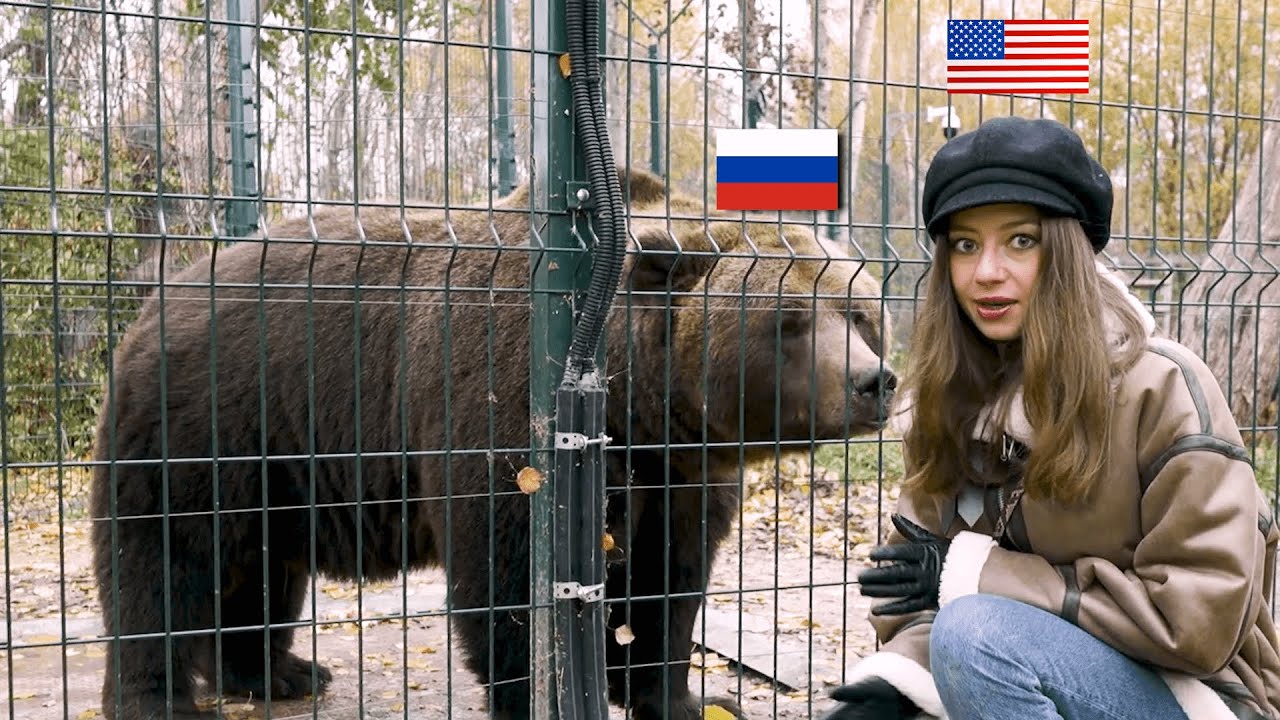 Как наш Мансурка примет американку @SashaMeetsRussia  ?!🐻 🇺🇸
