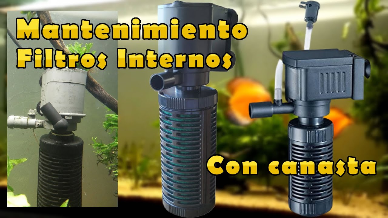 Mantenimiento y mejora de Filtro INTERNO con cartucho #acuarios #acuariofilia #filtrodeagua