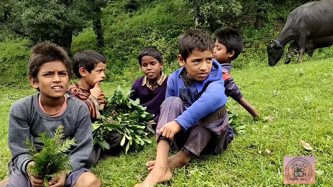 सेम नागराज  यात्रा अगस्त 2019 sem nagraja yatra