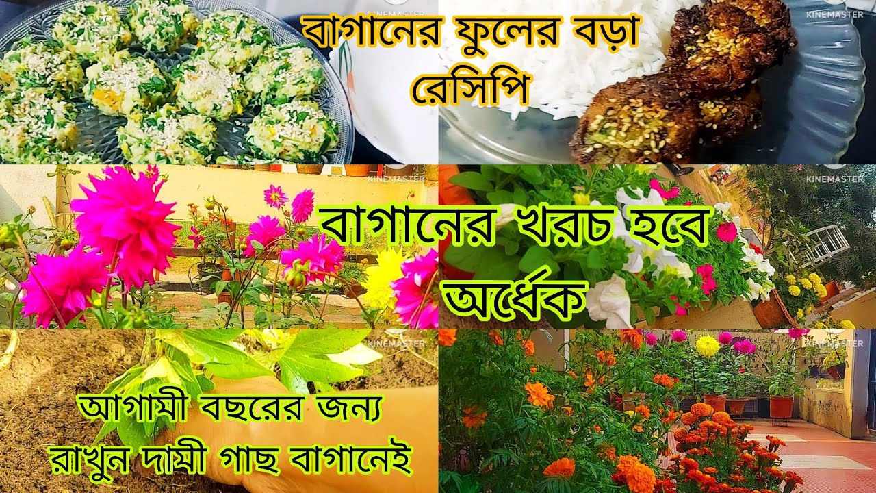  Baganer kharoch bachanor sahoj upay. Baganer fuler  bora recipe#roofgarden #chadbagan