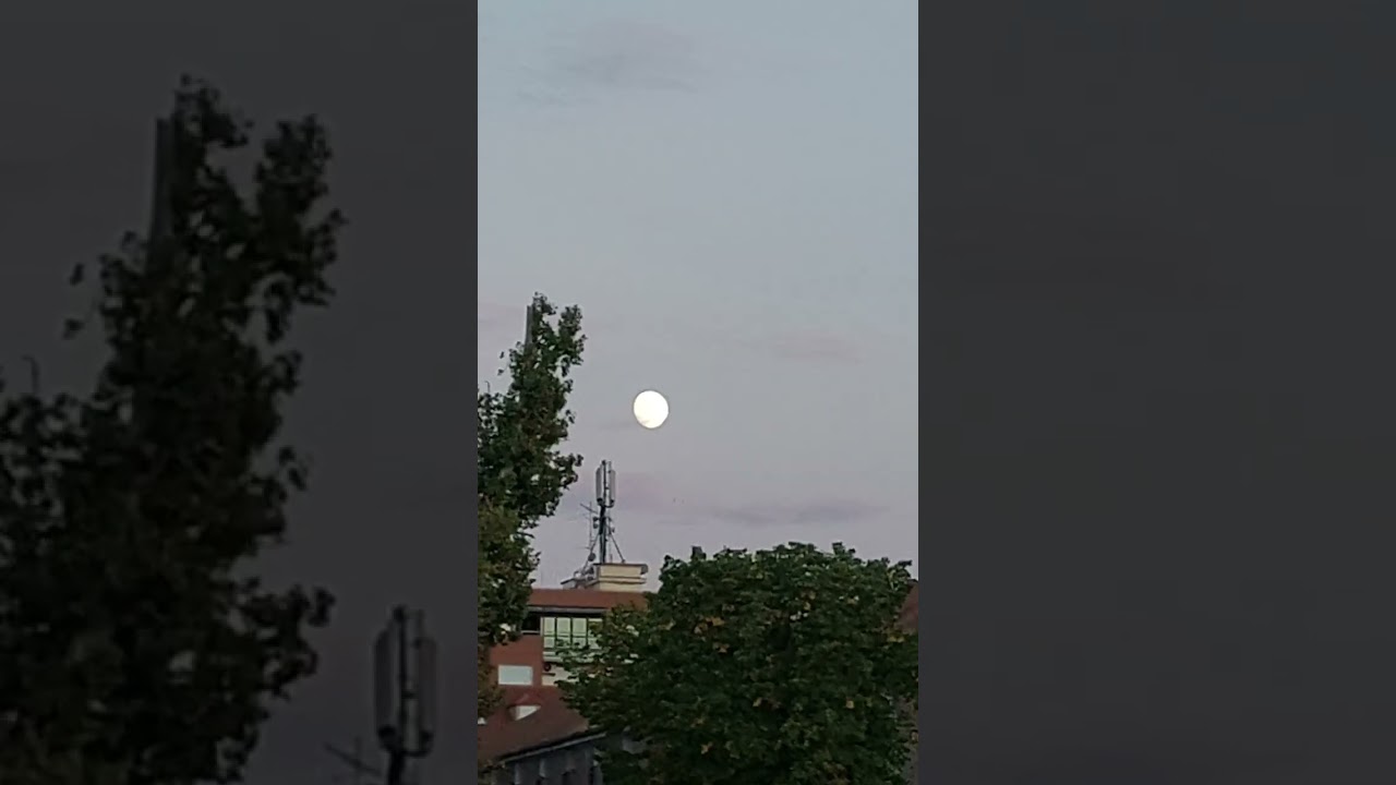 أهمية اللغة العربية للعرب المقيمين في الخارج