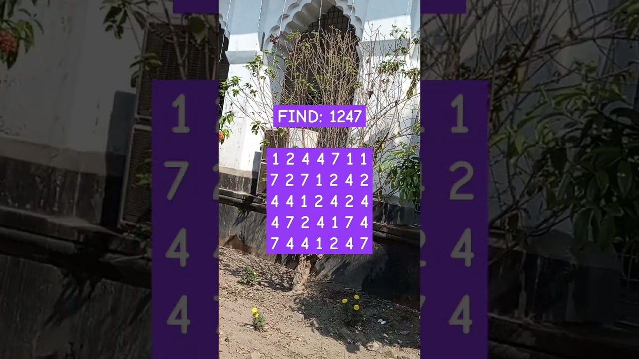 find:1247