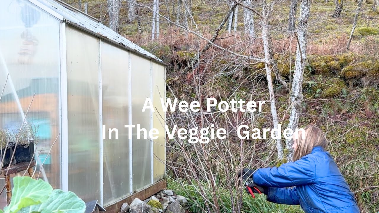 A Wee “Potter” In The Veggie Garden | Winter Pruning | Planting | Propagating