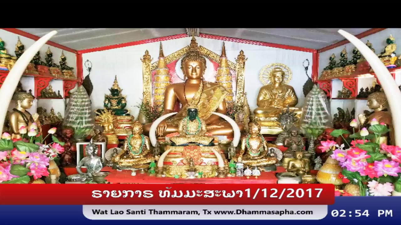 Buddha Dhamma Live Stream