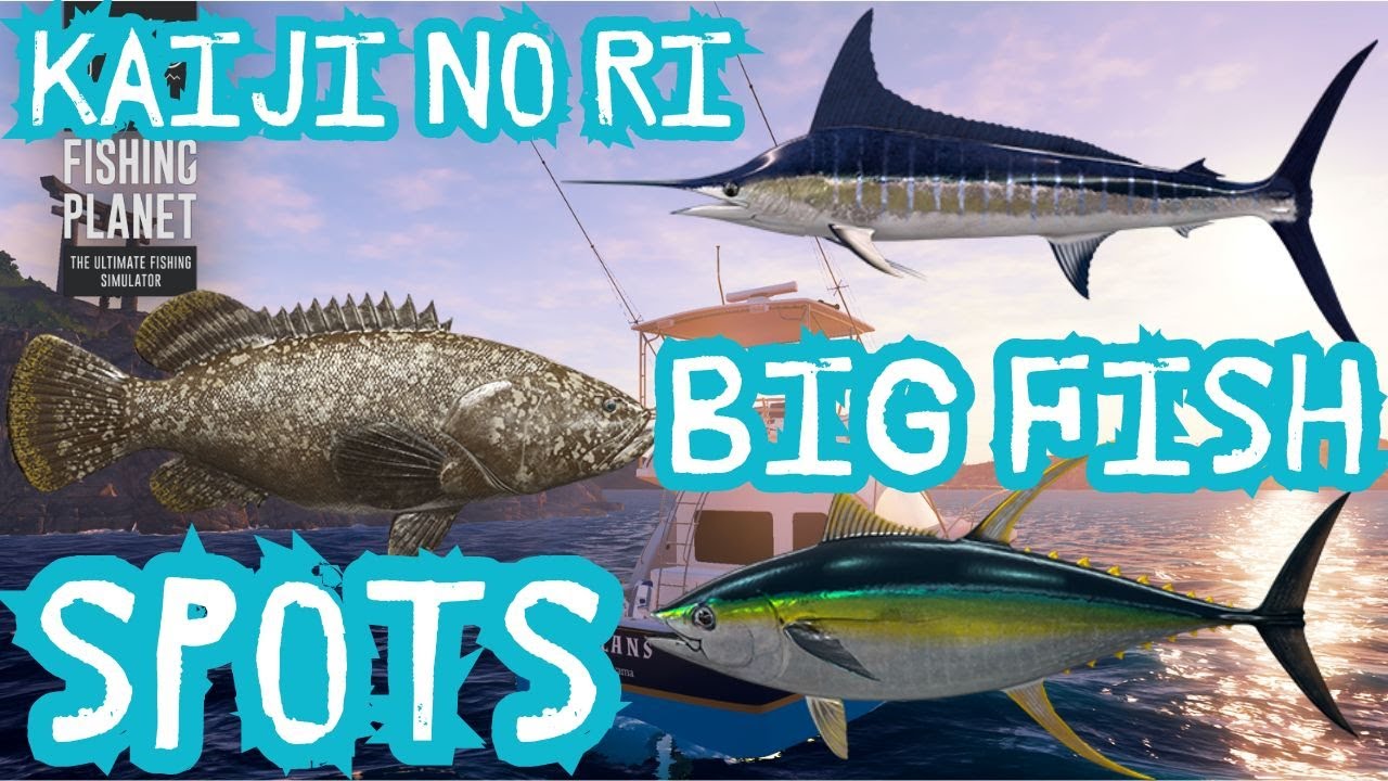 KAIJI NO RI - BIG FISH SPOTS
