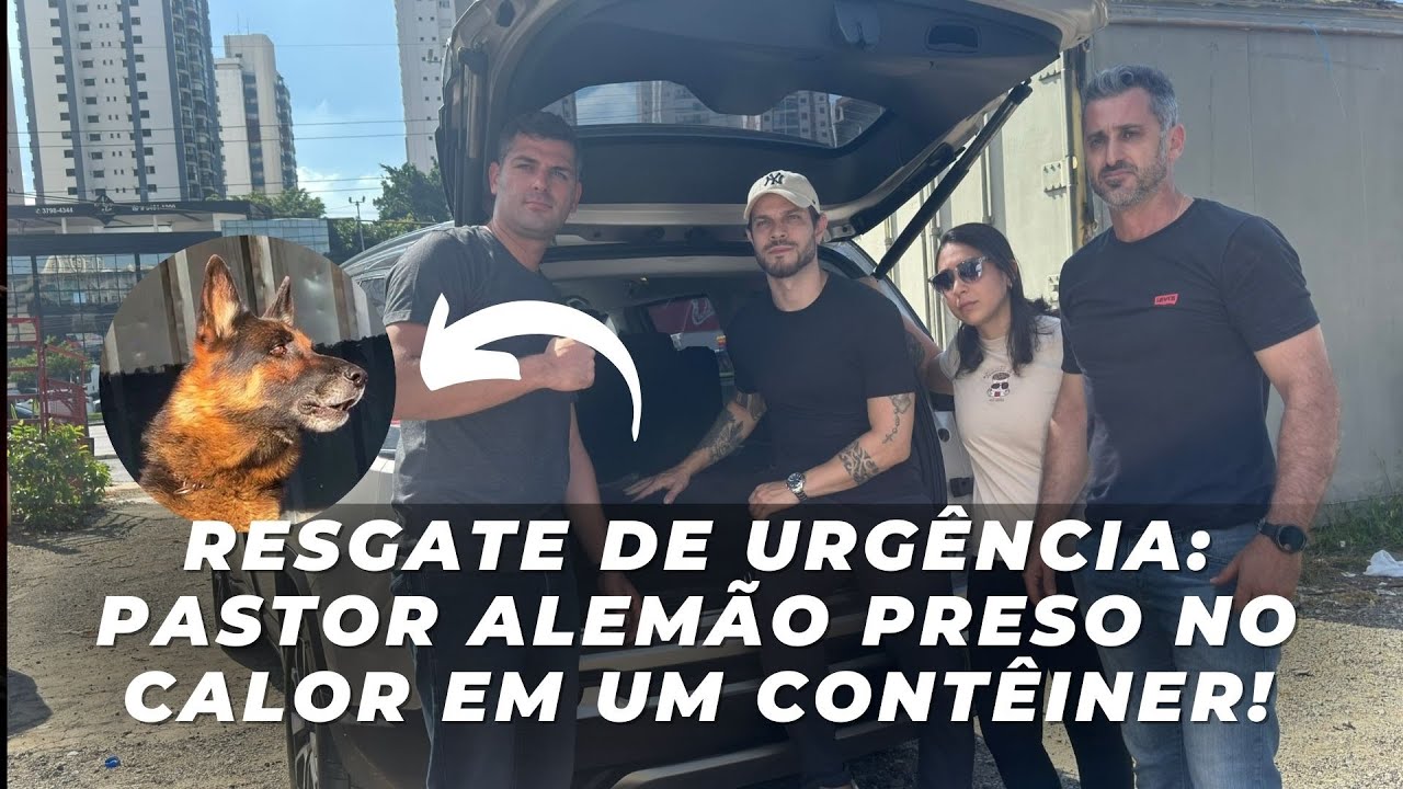 Resgate de Urgência: Pastor Alemão Preso no Calor em um Contêiner!