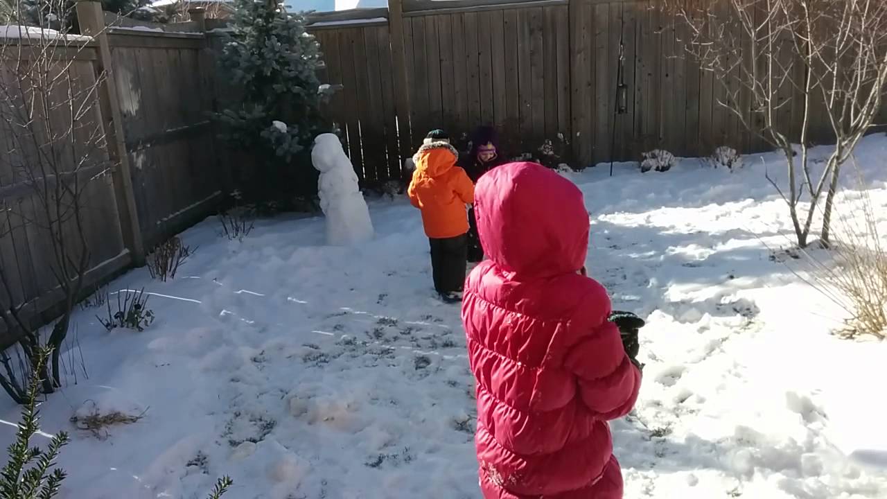 Snow fight. 2014