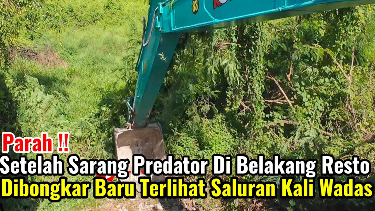 Parah‼️Setelah Sarang Predator Di Belakang Restoran Dibongkar Baru Terlihat Aliran Kali Wadas