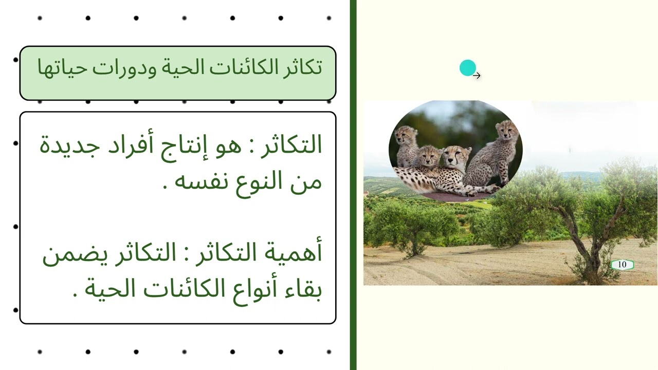 علوم / الصف الثالث / الوحدة الاولى / الدرس الاول / دورة حياة الكائنات الحية الجزء 1