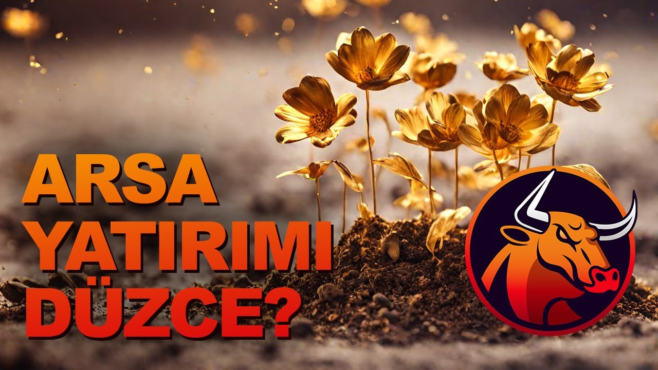 ARSA YATIRIM ANALİZ (DÜZCE)