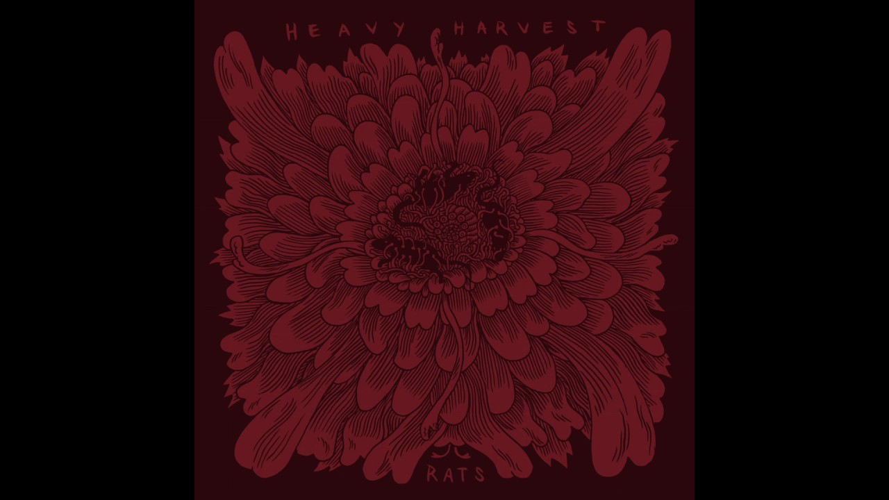 Heavy Harvest - Jar