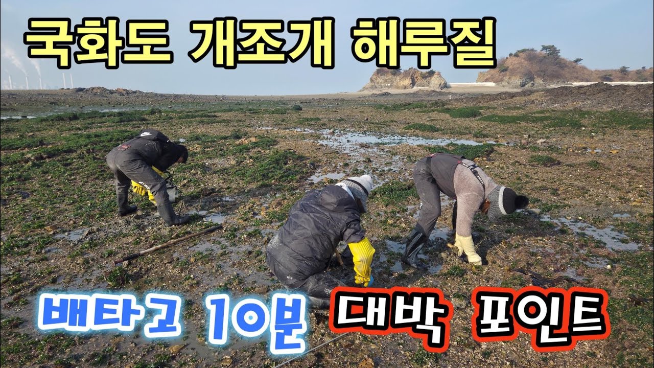 배타고 10분 개조개 대박포인트