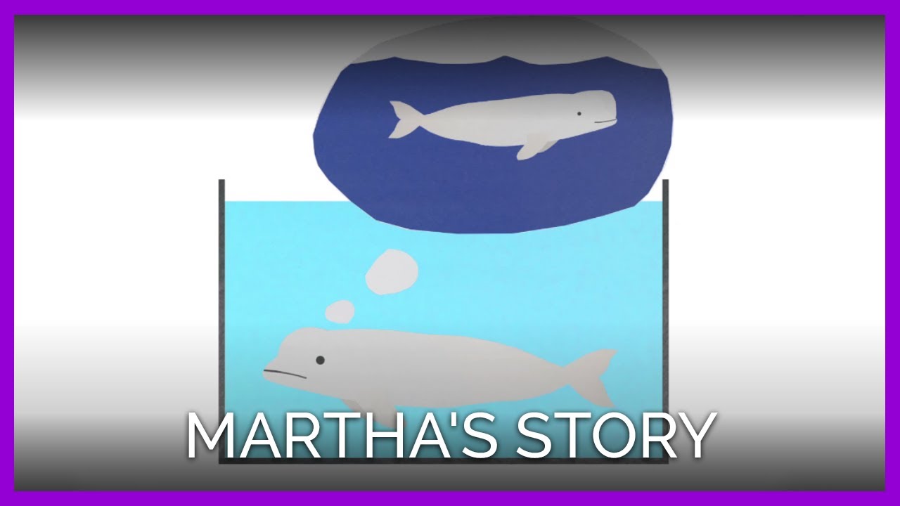 Martha's Story
