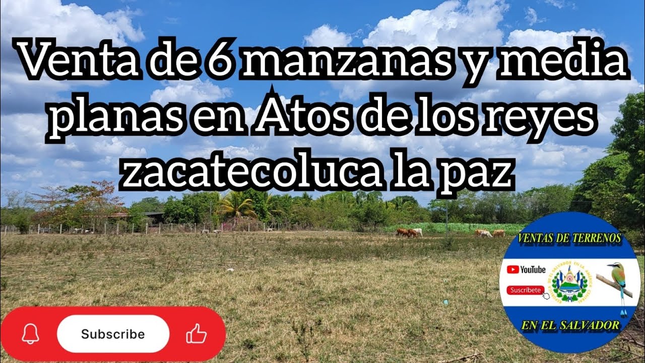 VENDIDO 
