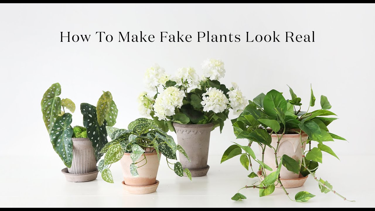Tips for Styling Fake Plants | How to Make Your Faux Plants Look Real | How to Pot Fake Plants