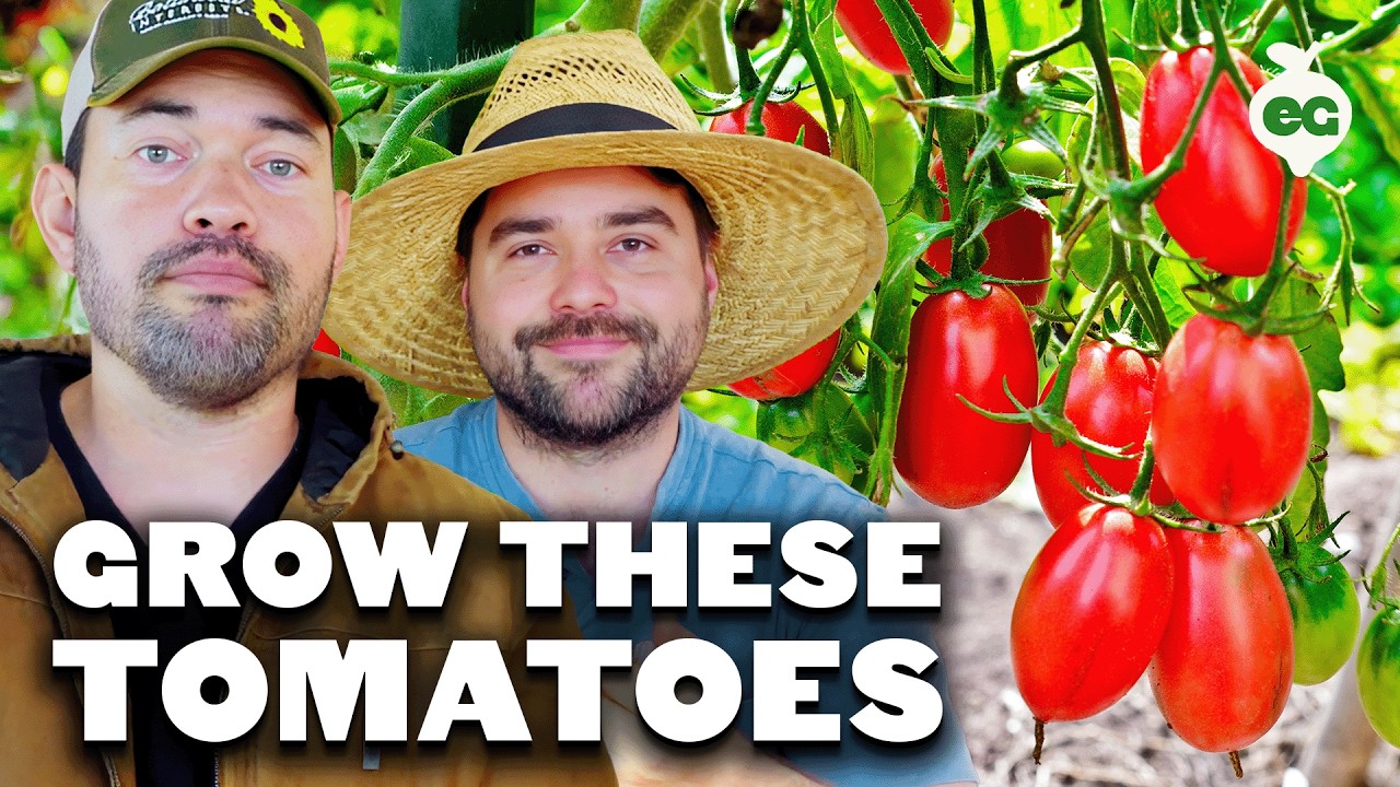 21 Tomatoes We're Planting This Year