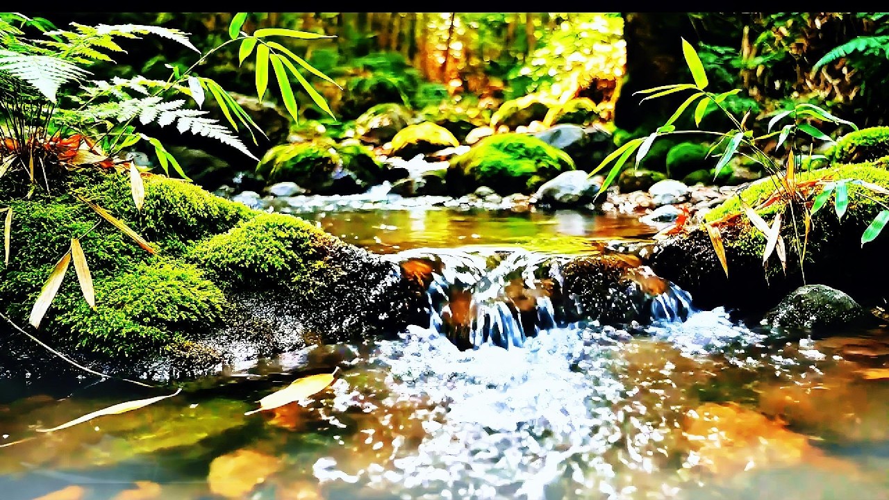 Instant Peace of Mind 🌿 Water Sounds & Relaxing Bird Singing, Anxiety Relief, Deep Sleep, Relaxation