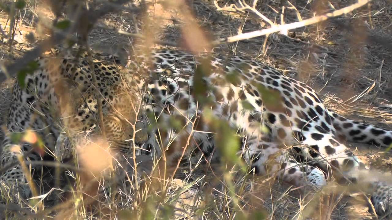 Rondreis Zuid Afrika 2014