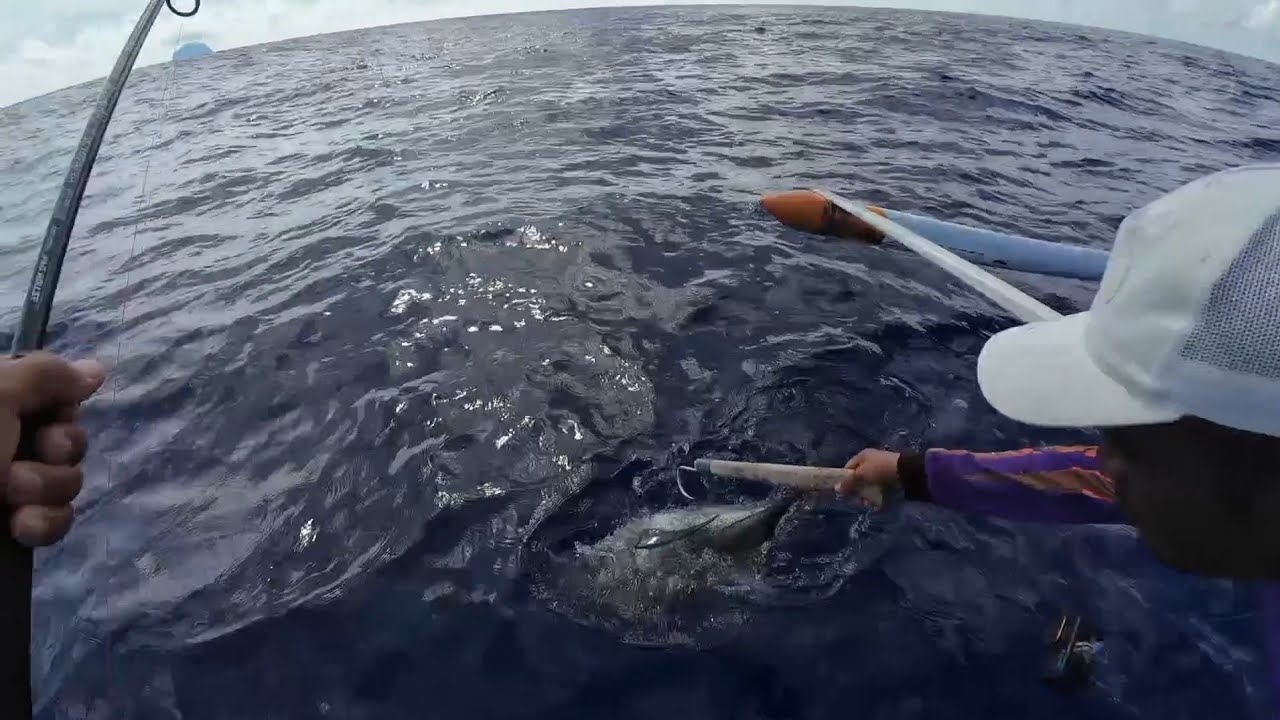 Napalaban sa mga Halimaw na Isda, ubusan ng Lakas!