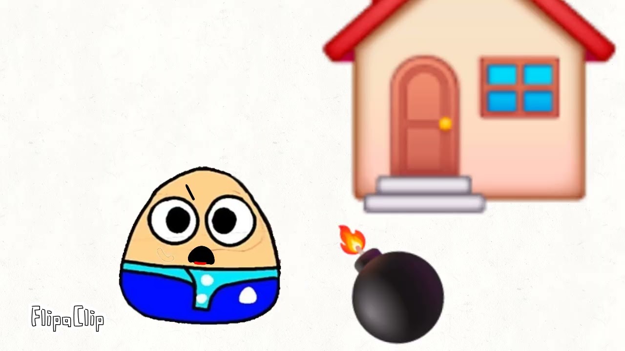 O pou rasgou a casa na loti fol peiso