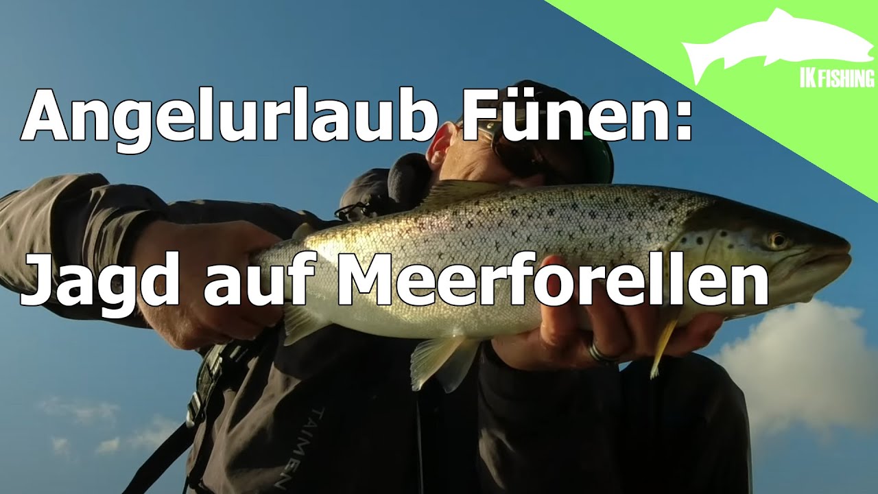 Expedition: Küstenfieber: Angelurlaub Fünen: Jagd auf Meerforellen