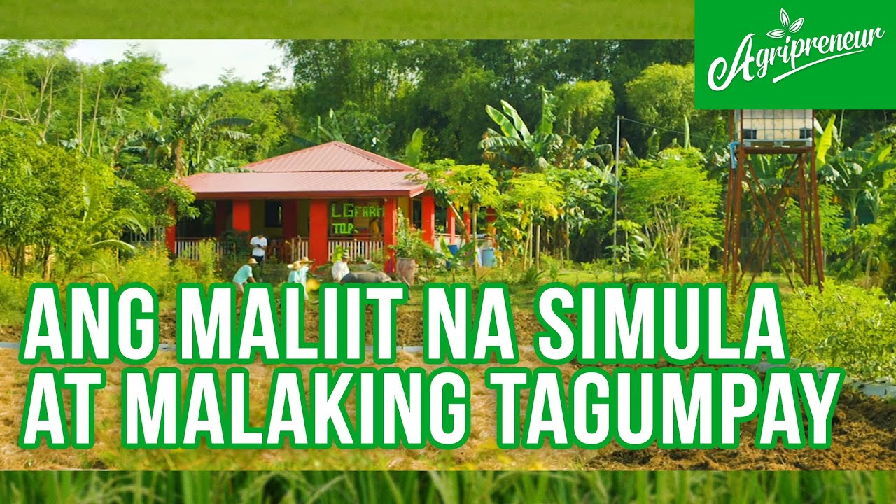 Ang Simula at Tagumpay ng LG Agri Tourism Farm!