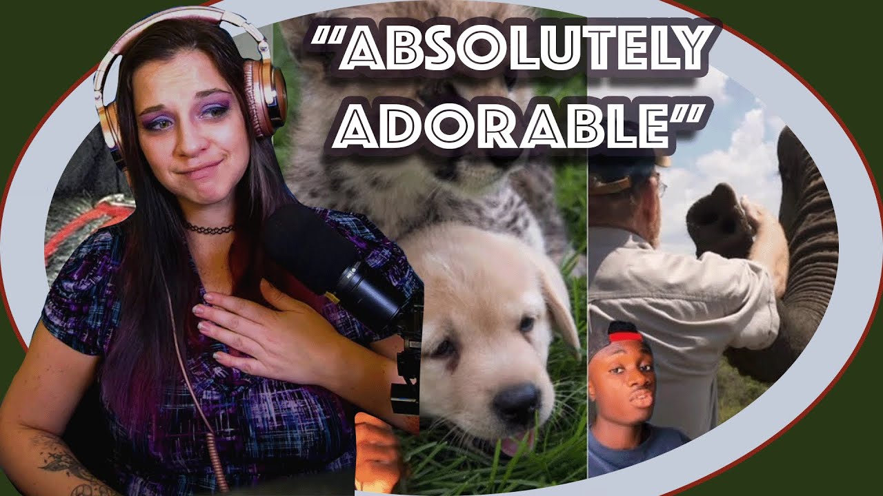 Bartender Reacts *So cute!* If You Haven't Smiled Yet Today...by Casual Geographic