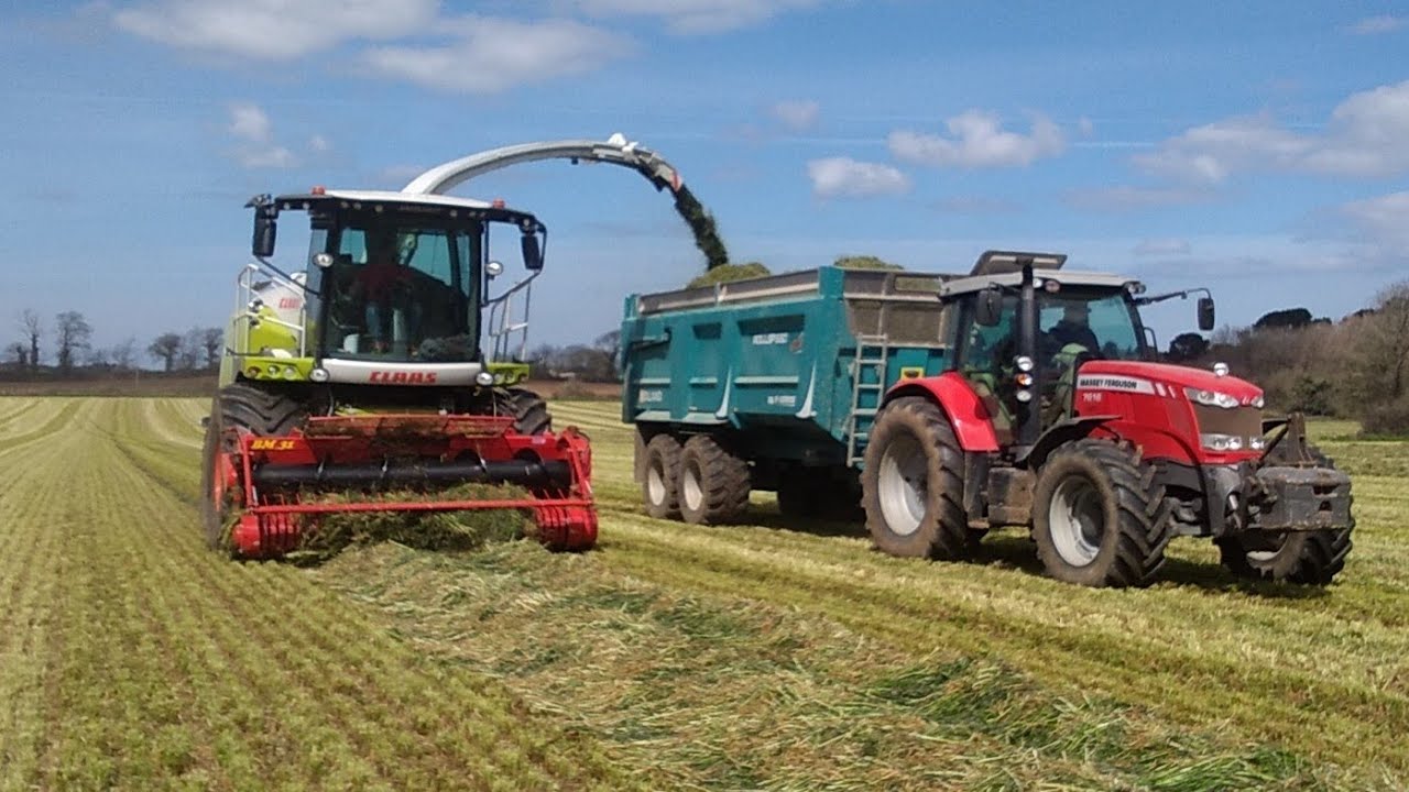 Ensilage d'herbe (Claas jaguar 970, JCB, Massey Ferguson, John Deere, Rolland, Thievin, Jentil)🌱🌄🚜🤩