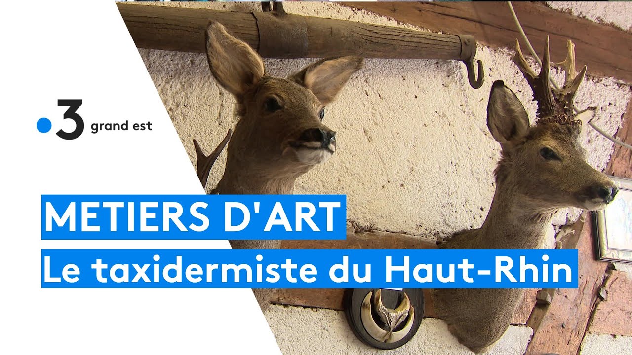 Paul Barthly, le dernier taxidermiste du Haut-Rhin