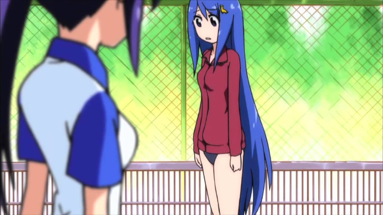 Teekyuu кабаны