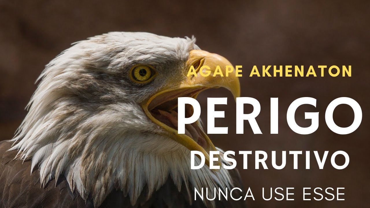 &Aacute;GUIA - PERIGO - N&Atilde;O USE   ISSO PODE PREJUDICAR SUA VIDA