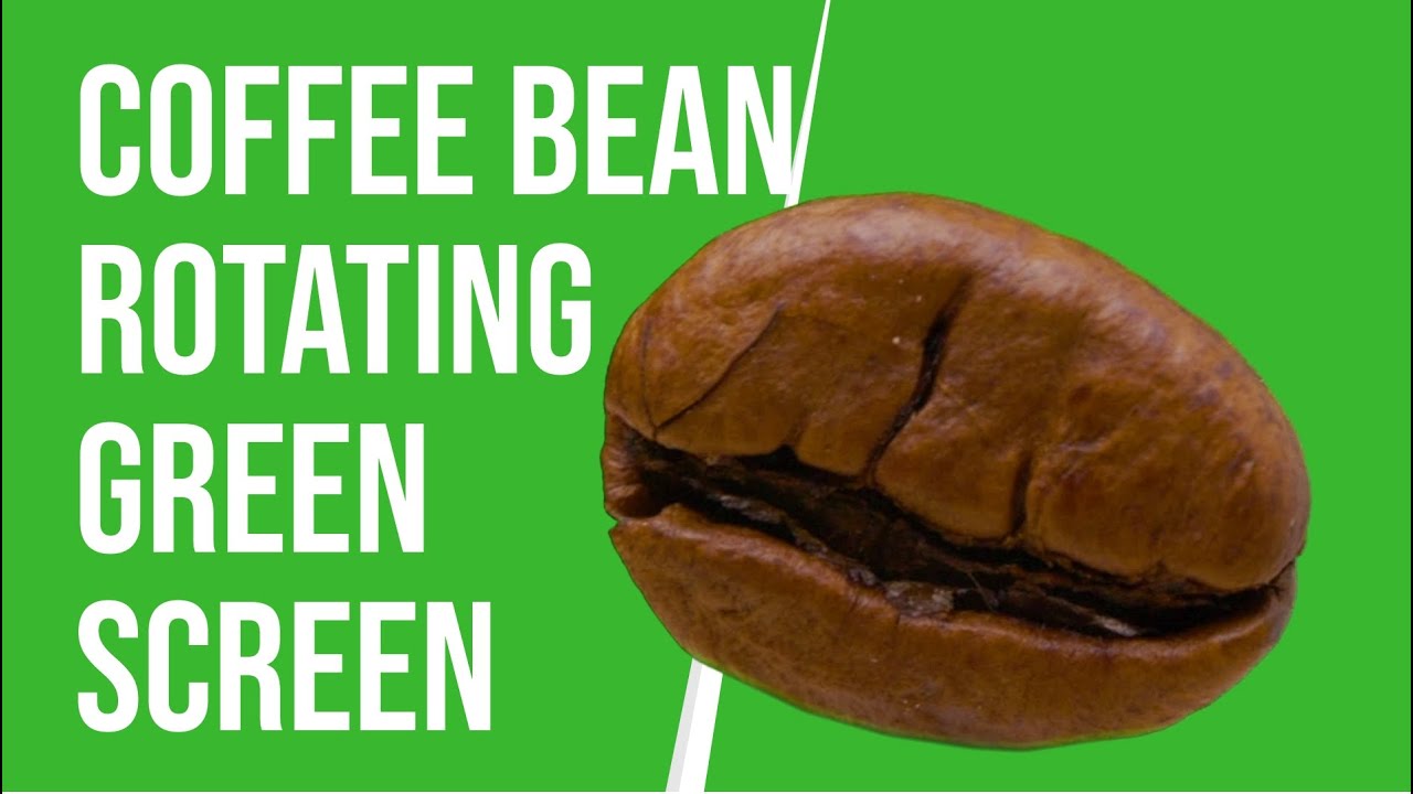 Closeup Coffee Bean Rotating on Green Screen Background | HD | FREE DOWNLOAD