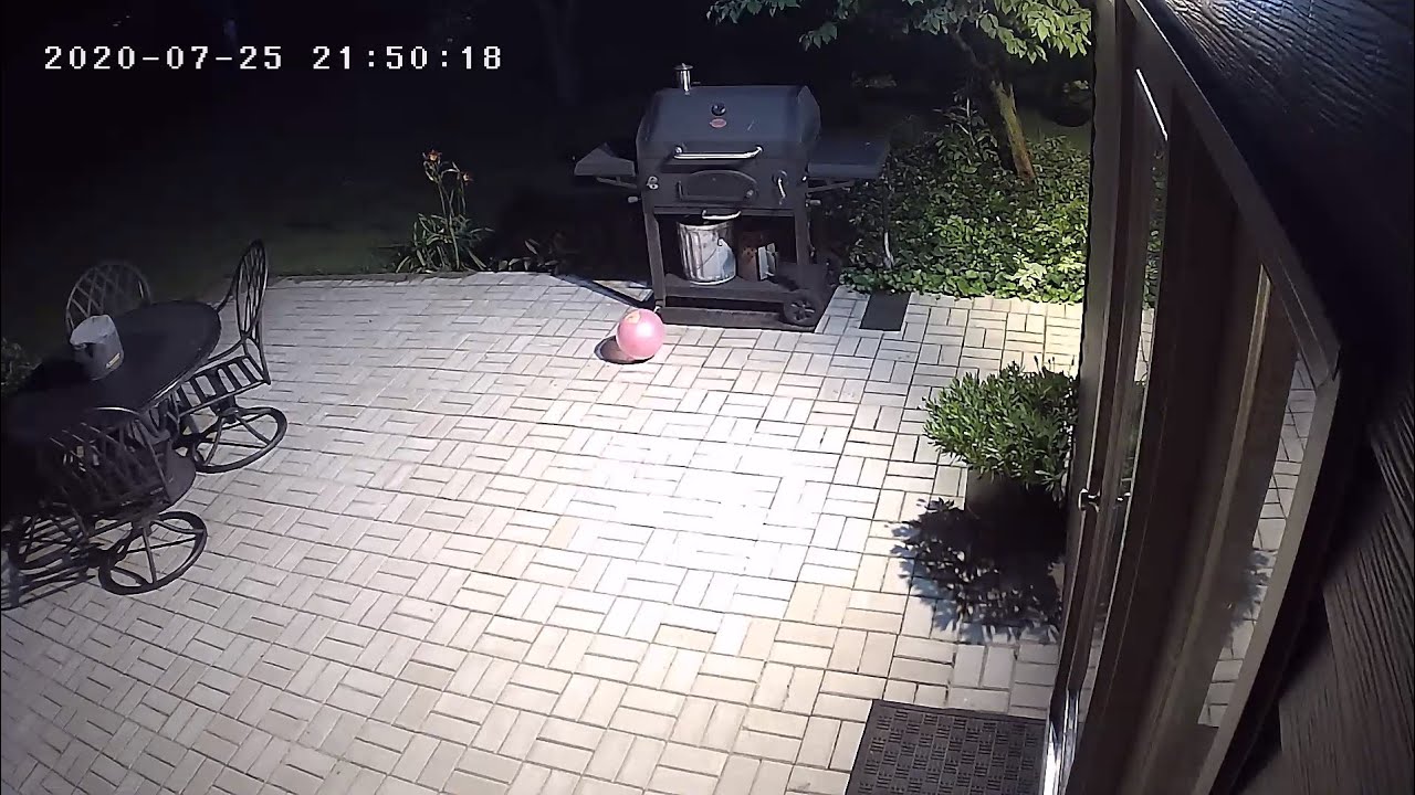 A non lethal way to scare away raccoons forever