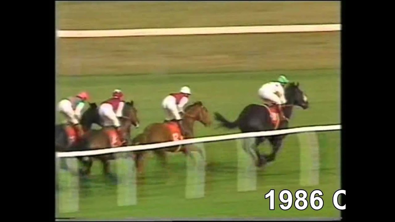 1986 Champion Stakes Newmarket Full Race Triptych
