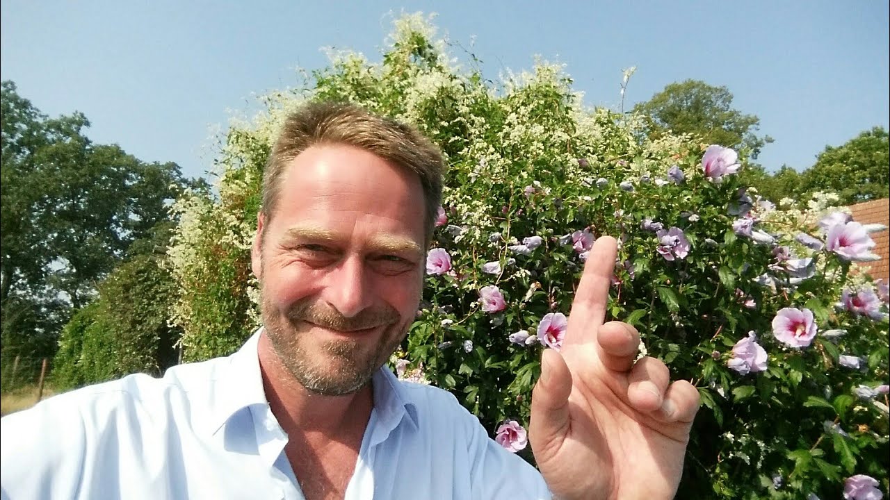 Gartenprojekte Update