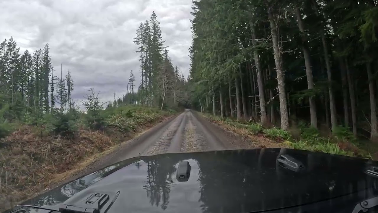 OffRoading Trail near Mt Rainier, Jeep Wrangler POV