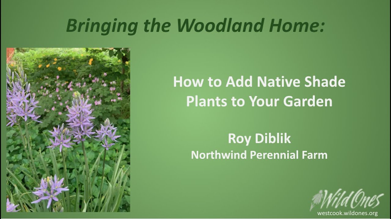 Roy Diblik Presentation