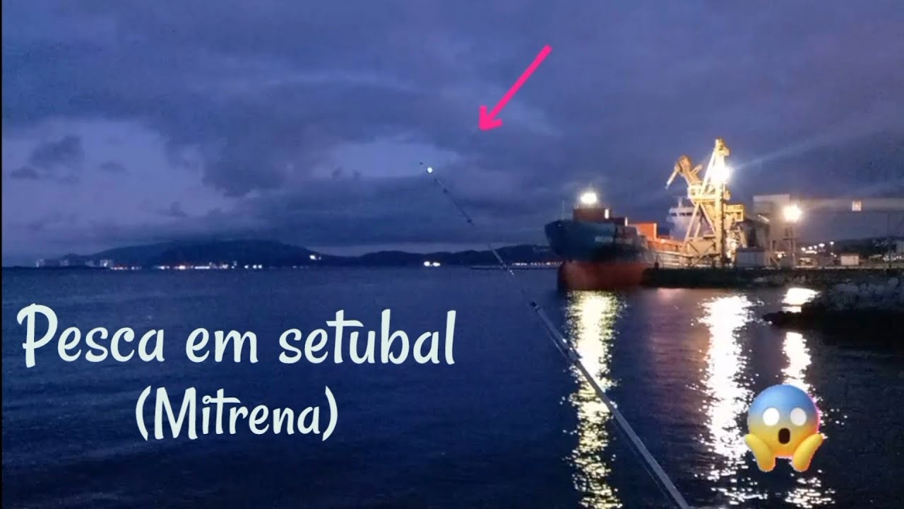 pesca em setubal (mitrena) com os manos da pesca