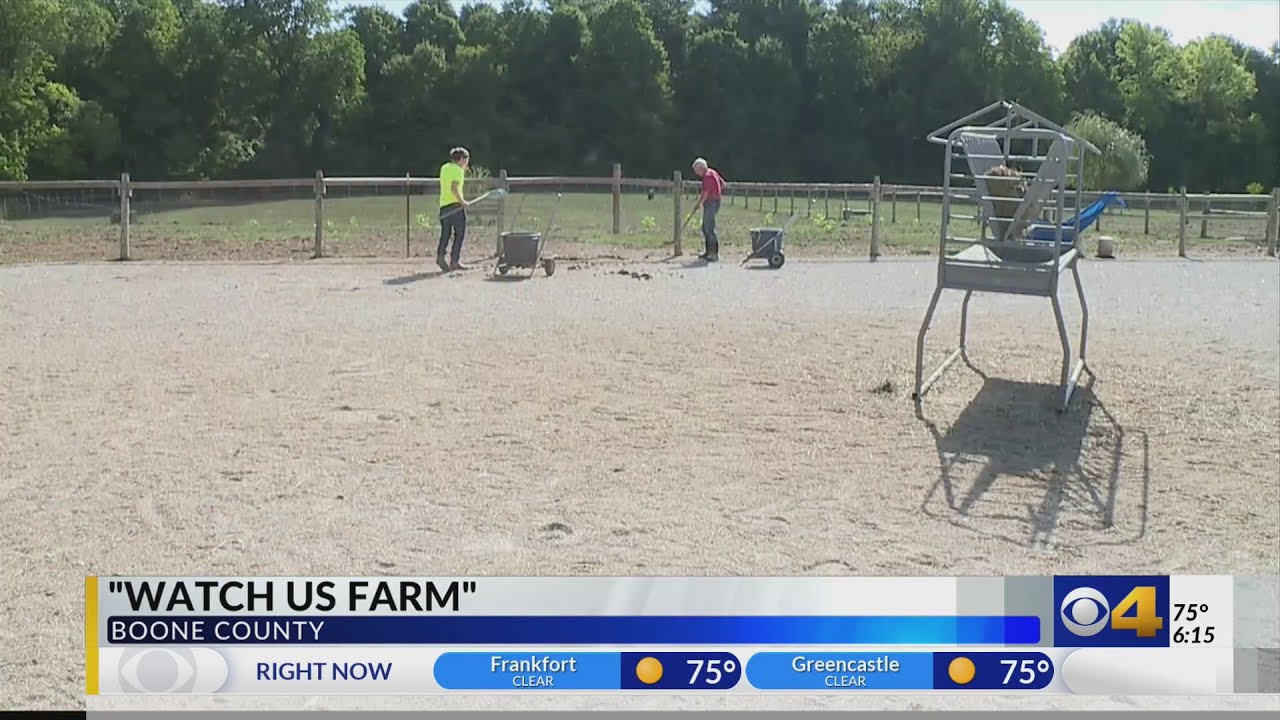 'Watch Us Farm' gives adults with disabilities a chance to learn and work on a local farm