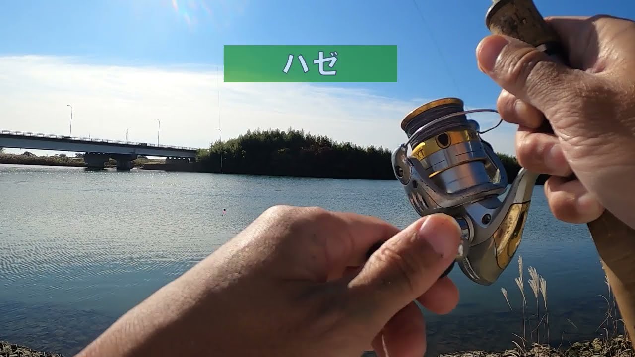 ハゼ釣り・鮫川河口（福島県）・2021/11/7